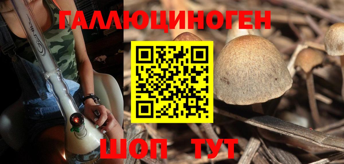 Сургут  Галлюциногенные грибы MAGIC MUSHROOMS  Псилоцибиновые грибы прущие грибы  Вход с VPN 
